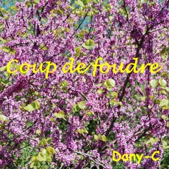 Coup De Foudre
