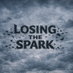 Losing The Spark