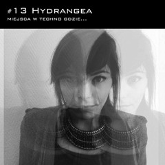 Miejsca w techno, gdzie... | 013: Hydrangea