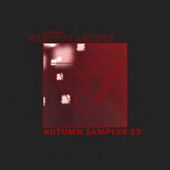 VA - Autumn Sampler 23' [WHLTD224]