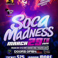 DJ LNICE (A FU AWE SOUND) LIVE AT SOCA MADNESS BRONX NY 3-29-2025