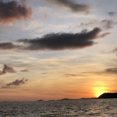 Skechers Remix🔥🤙🏾