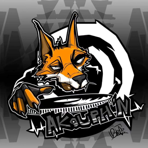 ca sent la tribe ( mix impro vinyle timecode et phase )