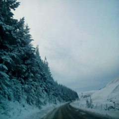 trancesiberian