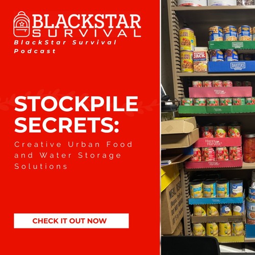 Stockpile Secrets: Creative Urban Food and Water Storage Solutions