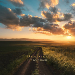 Daminika - The road home