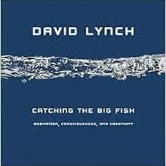 Get [EBOOK EPUB KINDLE PDF] Catching the Big Fish: Meditation, Consciousness, and Creativity by Davi