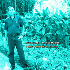 PERDI O MEU GRANDE AMOR