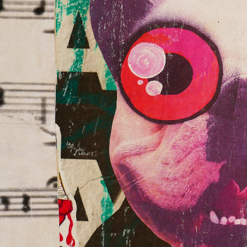 buzzy fuzzy psy mix