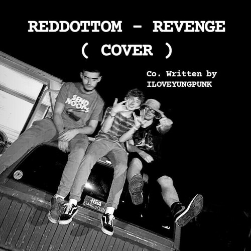 Revenge - REDDOTTOM  ( COVER ) co. written by ILOVEYUNGPUNK