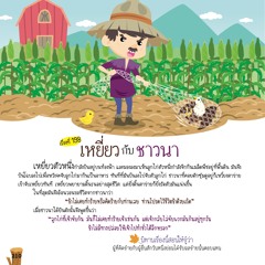 198 เหยี่ยวกับชาวนา