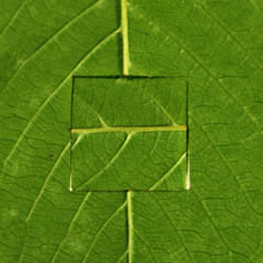 !@#$%^&*Materials Are Only Matter, Do They??! ___+++|||