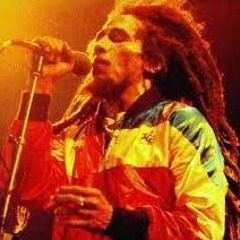 Bob Marley & The Wailers- Positive Vibration, Zimbabwe & the Heathen Live At The Stanley Theatre