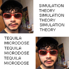 simulation theory mix