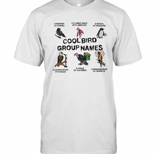 Stream Cool Bird Group Names White T Shirt by Hoolatee Listen online