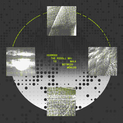 Kermode - The Middle Way