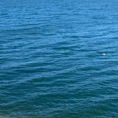 Spring Is the Season