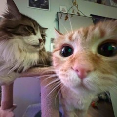 the road less traveled prod. heff NORMAL