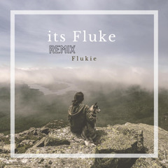 Its Fluke (Remix)
