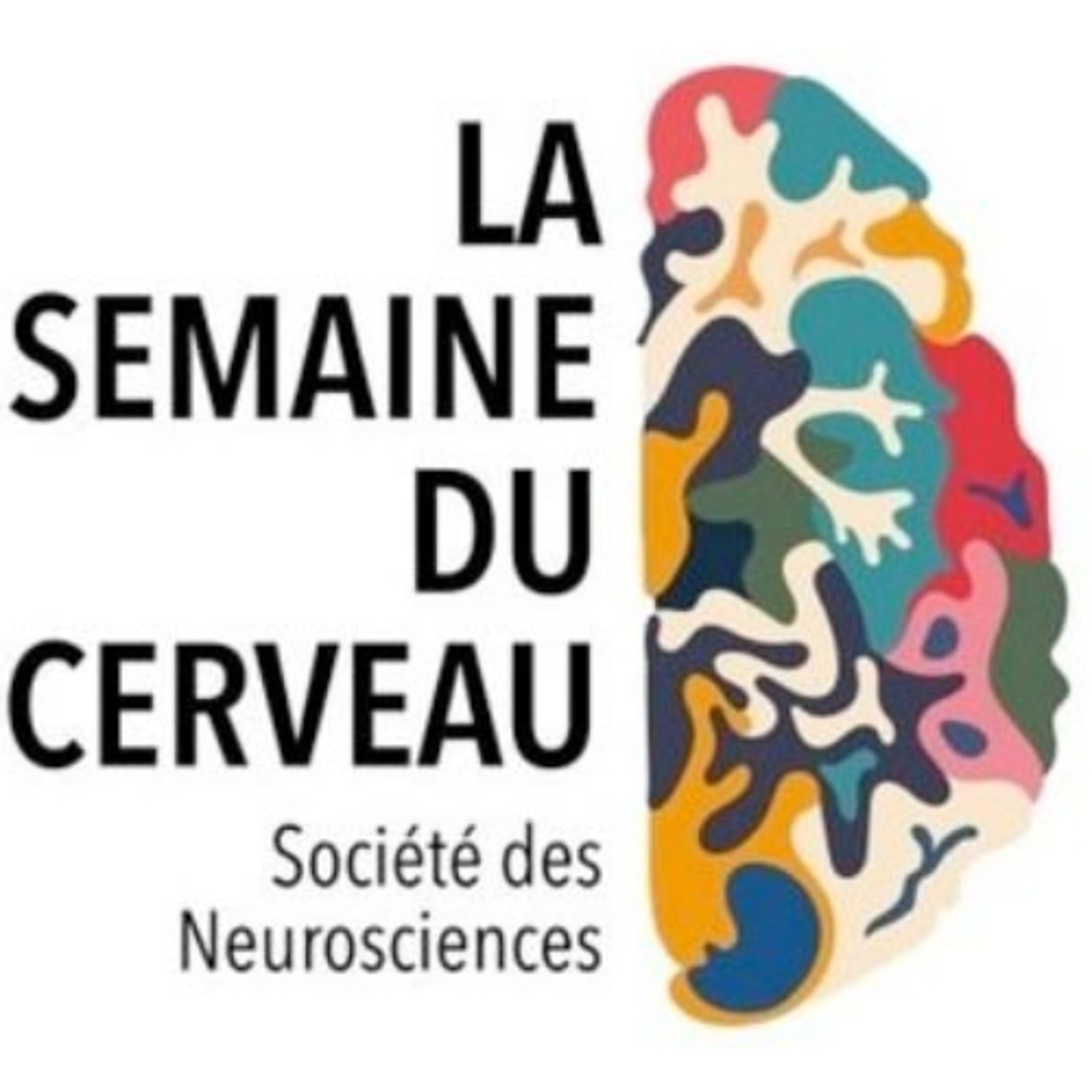 [Café Campus] Interview d'Anna Beyeler et Grégory Michel : Comment comprendre et étudier l'anxiété ? episode artwork
