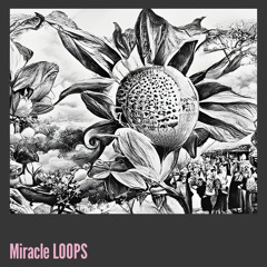 Miracle Loops