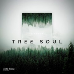 Tree Soul - KENTDOW | Free Background Music | Audio Library Release