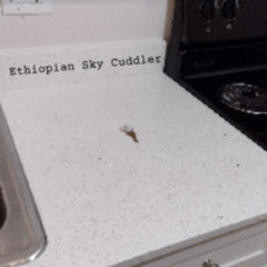 Ethiopian Sky Cuddler