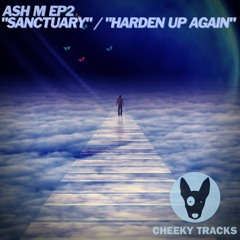 Ash M EP2 - Sanctuary - OUT NOW