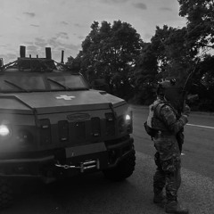 Cybermykola - Два Щеня