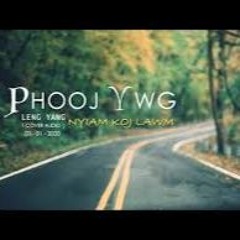 Leng Yang - Phooj Ywg Nyiam Koj Lawm「Cover Audio」