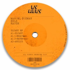 Manuel Guzman - Slyart (Gzlz Remix)