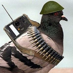 Шпіоніро Голубіно