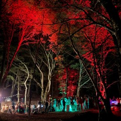 WEDDING IN THE FOREST 1 - RUBINA