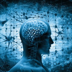 Mental - Tribe - Acidcore