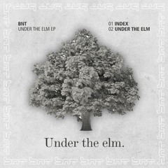 BNT - UNDER THE ELM (original mix)