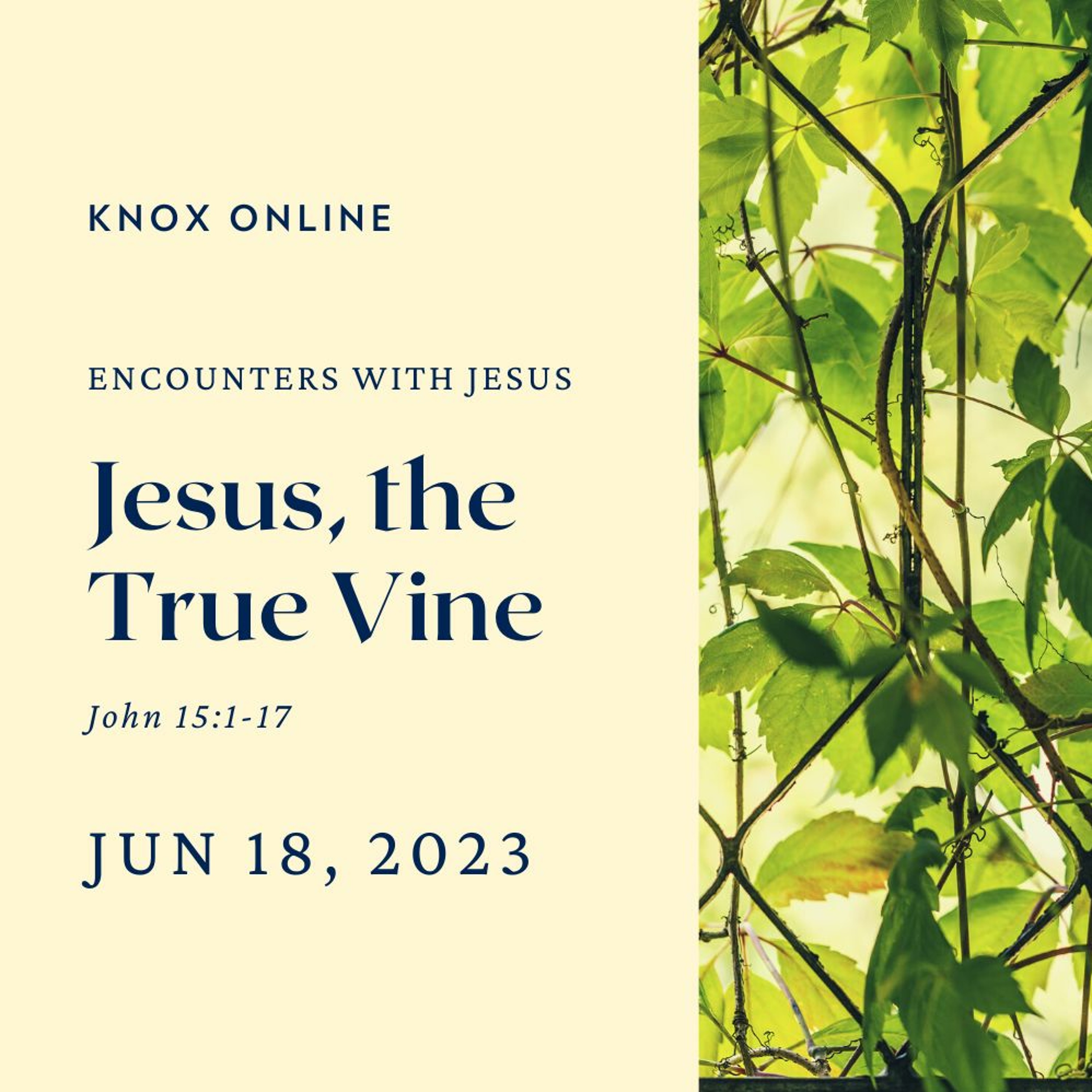 June 18, 2023 | John 15:1-17 | Jesus, the True Vine episode artwork