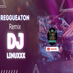 🔥 Reggaeton Remix 2025 | Dj Linuxxx – Nonstop Party Vibes 🎶💃
