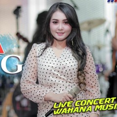 ANY ARLYTA Ft NEW MONATA DADA SAYANG [LIVE CONCERT WAHANA MUSIK]