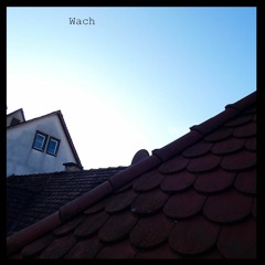 Wach