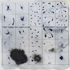 Talita Otović - SSRI