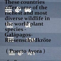 Paul Zentos Podcast 1201 @ These countries offer some of the richest and most diverse wildlife in the world plant species - Galápagos-Riesenschildkröte ( Puerto Ayora ) 16 08 2025