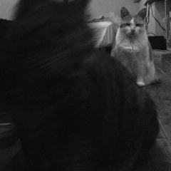 輪郭 - R3:02:07 午前2.54