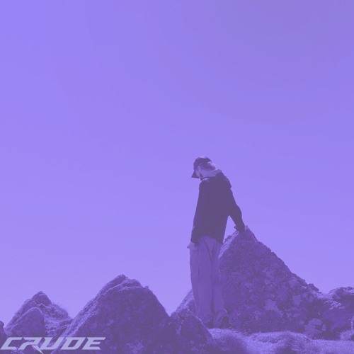 CRUDE MIX 229 - Lofthaus