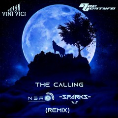 Vini Vici, Ace Ventura - The Calling (N3RO, SP4RKS Remix)