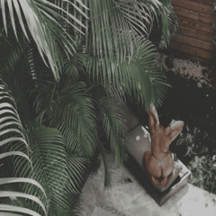 ABE201 - I.Y.T.I.P (JerseyClubRemix)