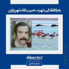 به یاد انقلابی شهید، حبیب الله شهریاری
