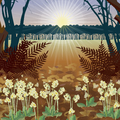 A Clearing For Stillness