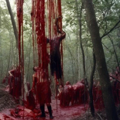 dark forest