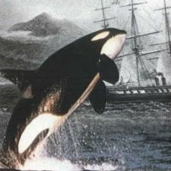 [Read] Online Killers In Eden: The True Story of Killer Whales and their Remarkable Partnership
