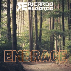 Ricardo Elgardo - Embrace (Original Mix)